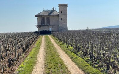Burgundy, the most traded appellation on the fine wine secondary market